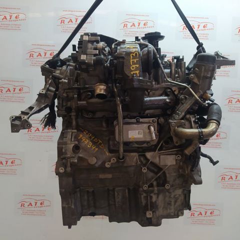 204DTD Jaguar