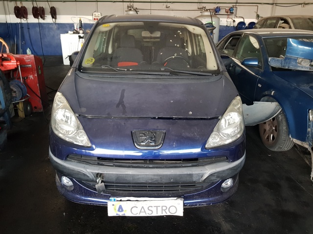 20CQ08 Peugeot/Citroen