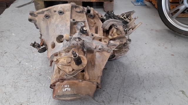 20DM39 Peugeot/Citroen
