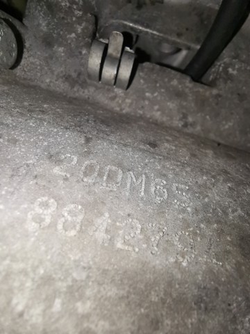 20DM65 Peugeot/Citroen