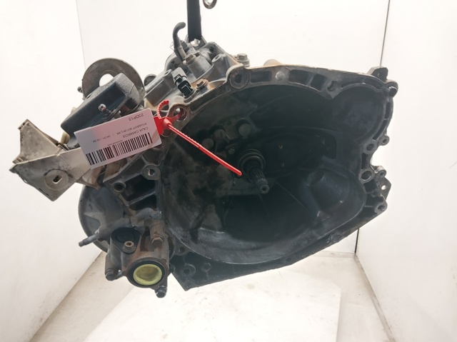 20DP13 Peugeot/Citroen