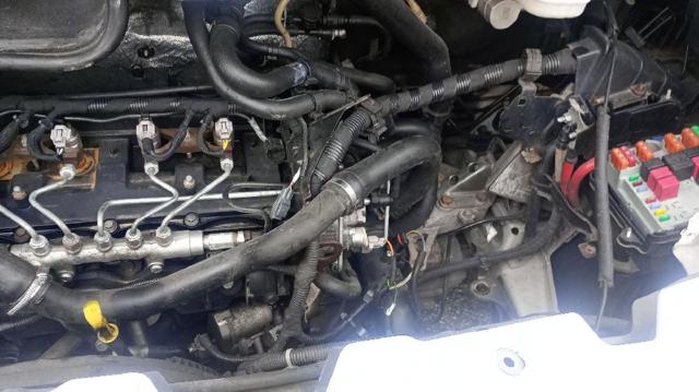 20UM23 Peugeot/Citroen