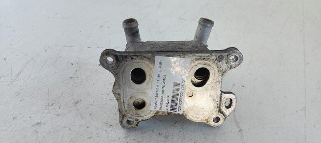 213052032R Renault (RVI)