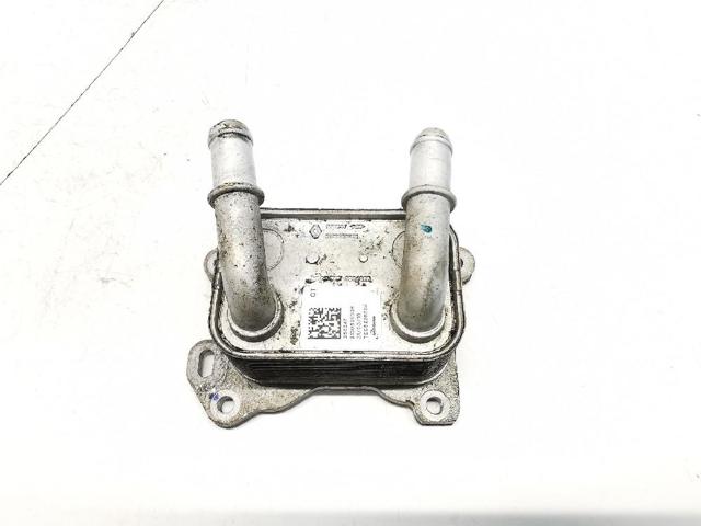 213052032R Renault (RVI)