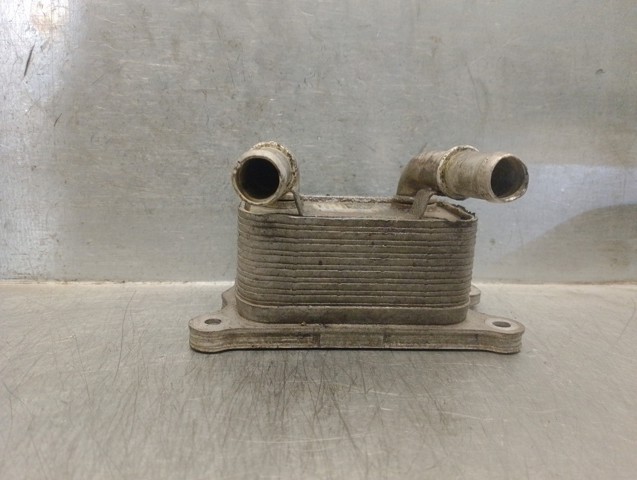 213052032R Renault (RVI)