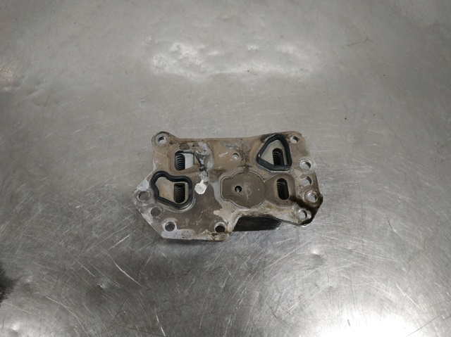 Radiador de óleo 213058627R RENAULT