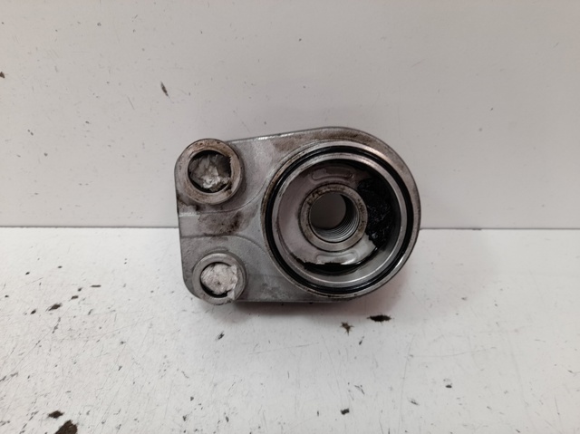 213059324R Renault (RVI)