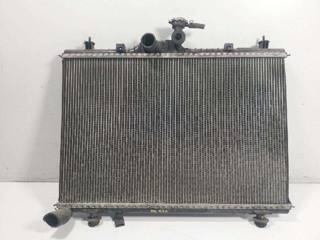 214006645R Renault (RVI)