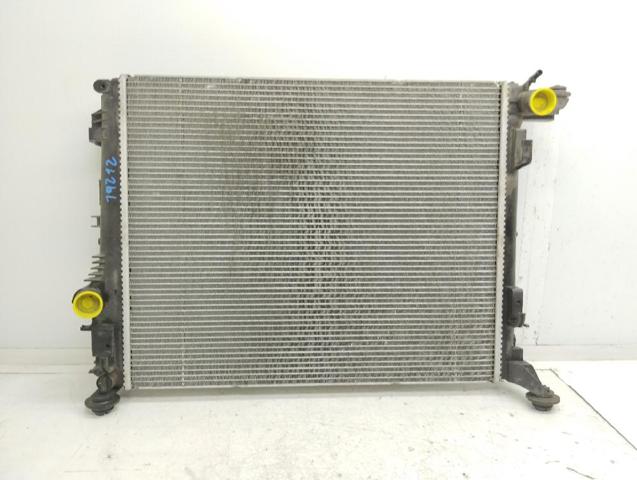 214105169R Renault (RVI)