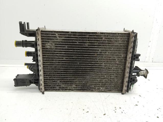 214106421R Renault (RVI)