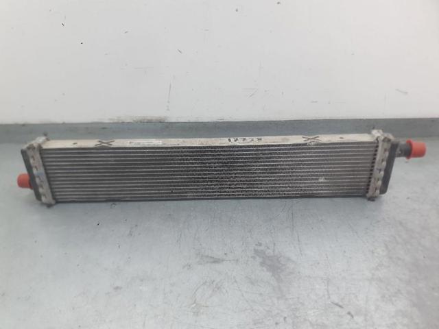 Radiador de esfriamento de motor 214108020R RENAULT