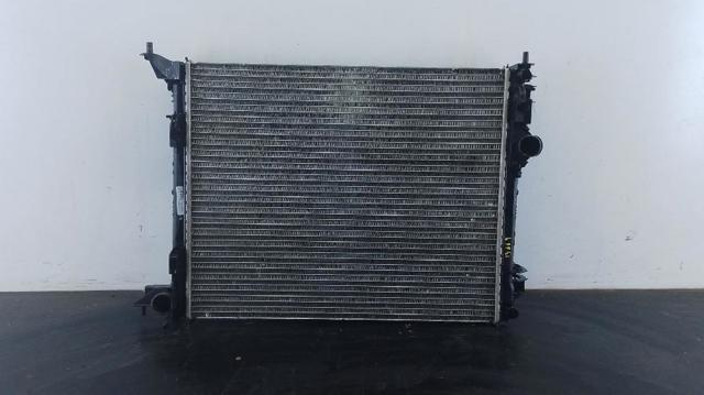 214108175R Renault (RVI)