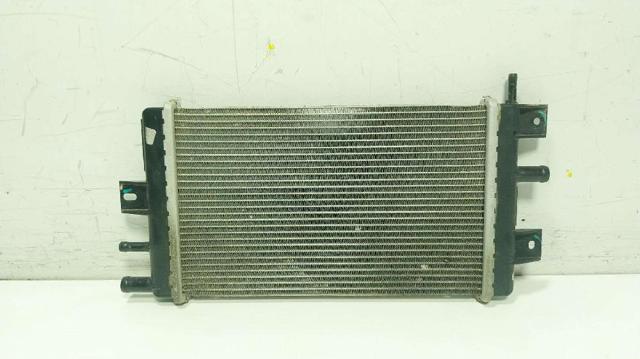 214109411R Renault (RVI)