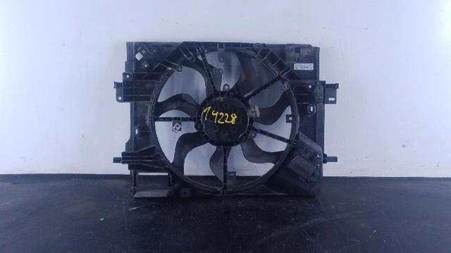 214810411R Renault (RVI)