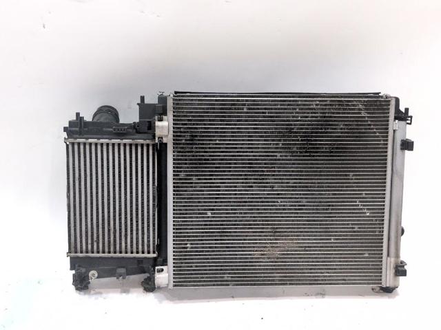 214810845R Renault (RVI)