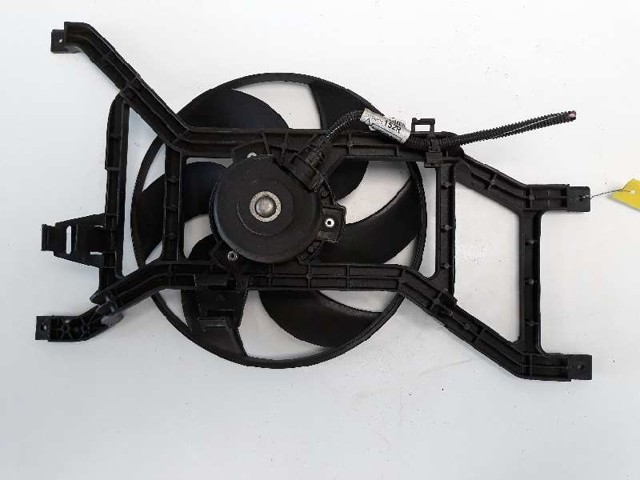 214817807R Renault (RVI)