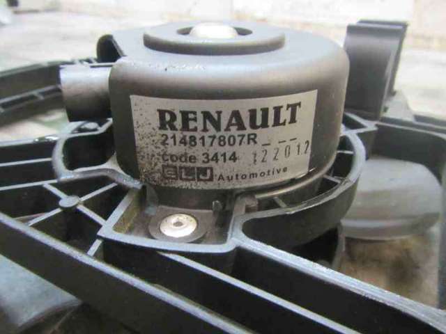214817807R Renault (RVI)