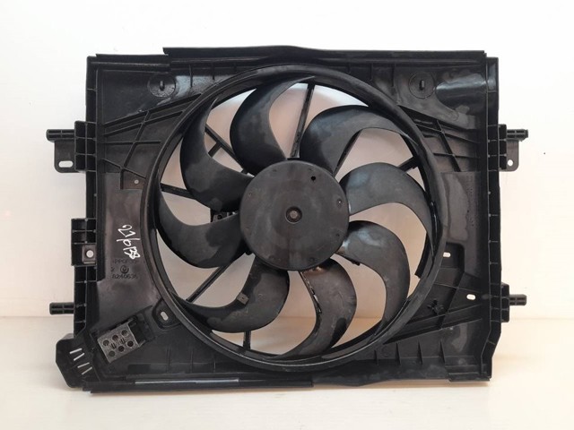 214818665R Renault (RVI)
