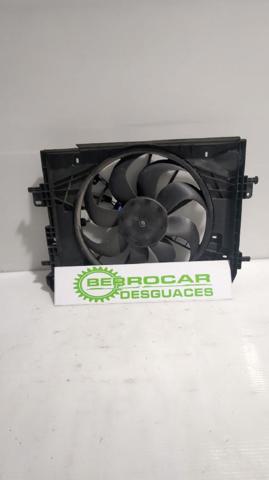 214818665R Renault (RVI)