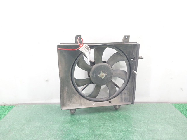 Comprar  Primera  P12