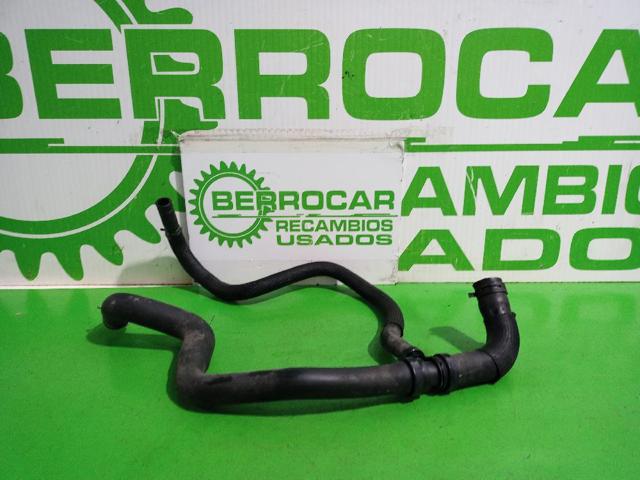 Mangueira (cano derivado) inferior do radiador de esfriamento 215030053R RENAULT