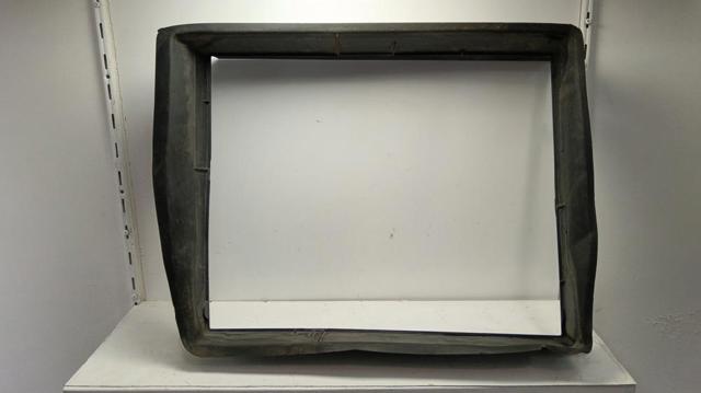 215598406R Renault (RVI)