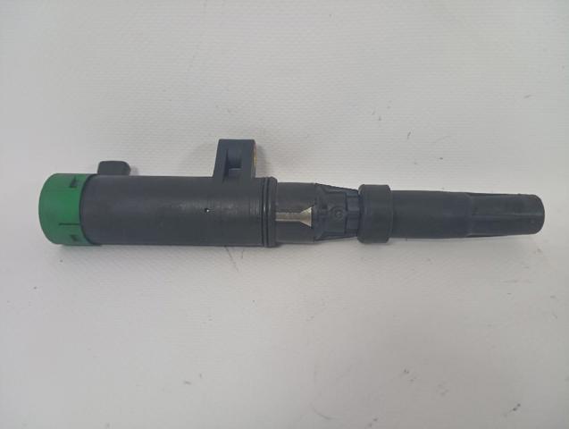 216031219 Renault (RVI)