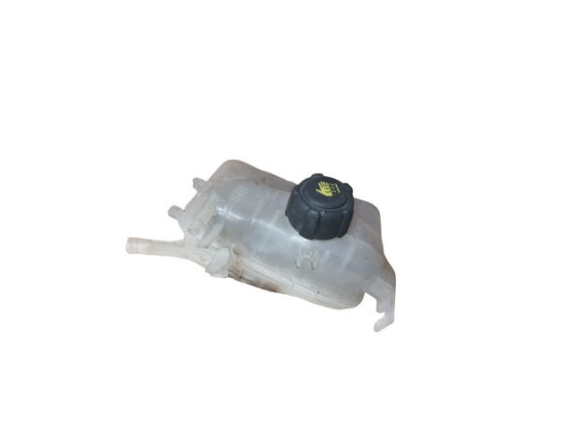 217100005R Renault (RVI)