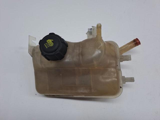 217100005R Renault (RVI)