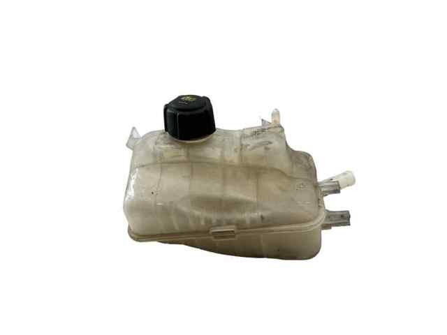 217100005R Renault (RVI)