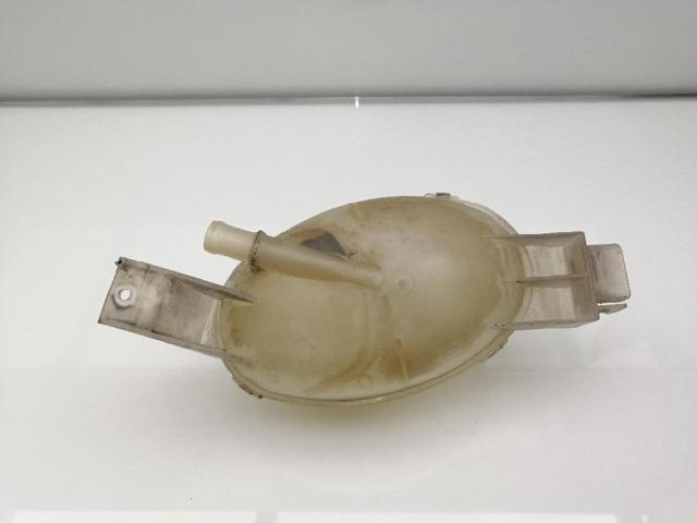 217100015R Renault (RVI)