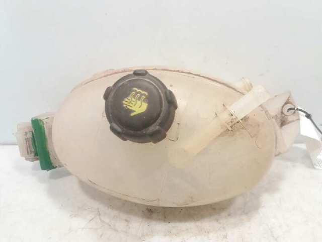 217100015R Renault (RVI)