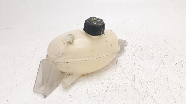 217100015R Renault (RVI)