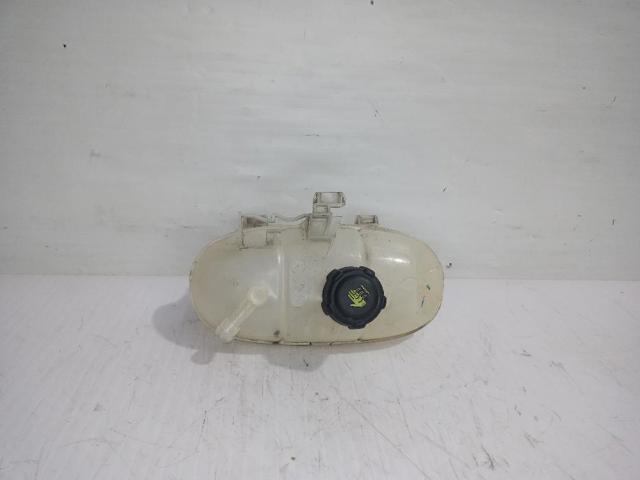 217101893R Renault (RVI)