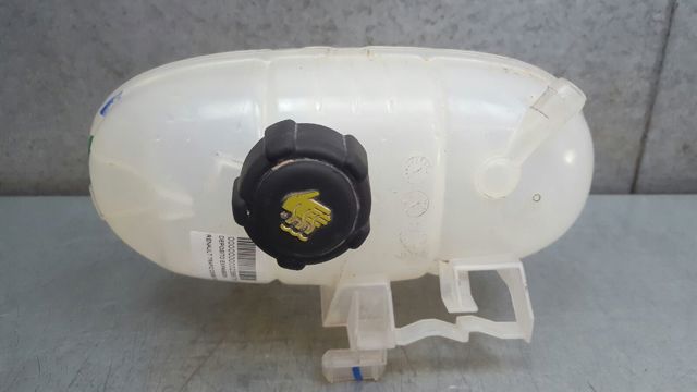 217101893R Renault (RVI)