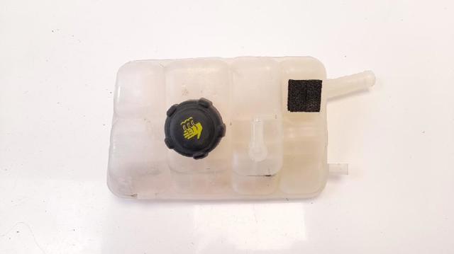 217104048R Renault (RVI)