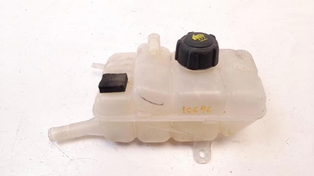 217104048R Renault (RVI)
