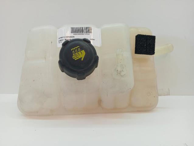 217104048R Renault (RVI)