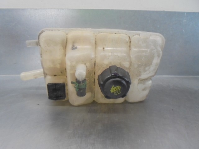 217104048R Renault (RVI)