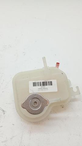 217104297R Renault (RVI)
