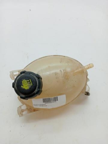 217104354R Renault (RVI)
