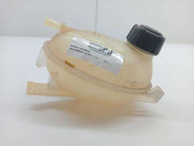 217104354R Renault (RVI)