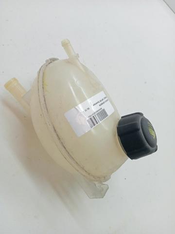 217104354R Renault (RVI)