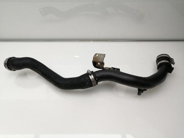 Mangueira (cano derivado) de intercooler 2203709 FORD