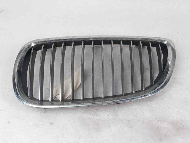 Grelha do radiador esquerda 22405910 BMW