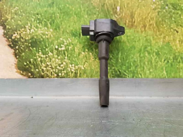 224332428R Renault (RVI)