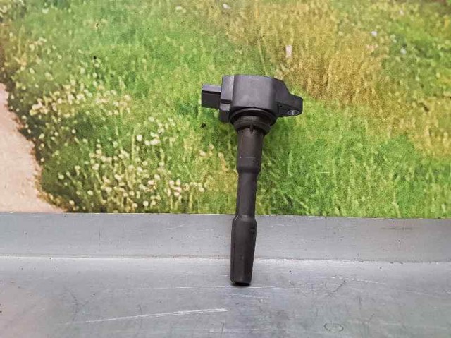 224332428R Renault (RVI)