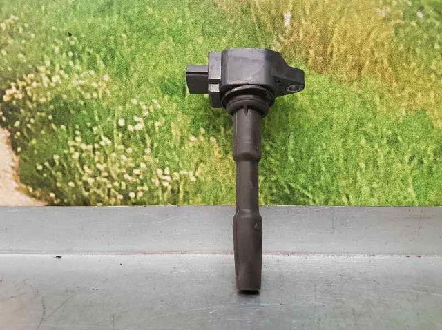 224332428R Renault (RVI)