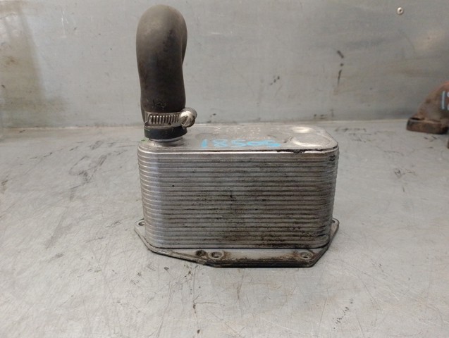 2247204 BMW