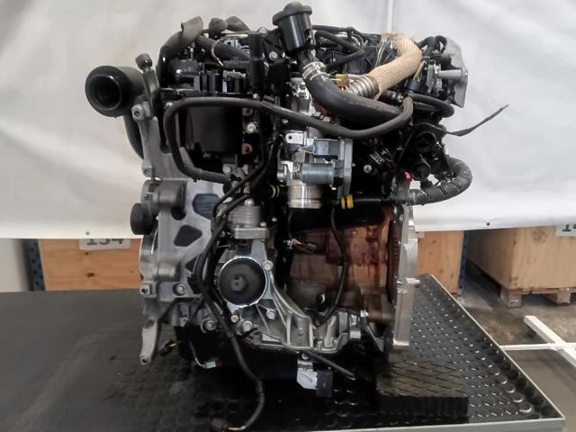 224DT Jaguar